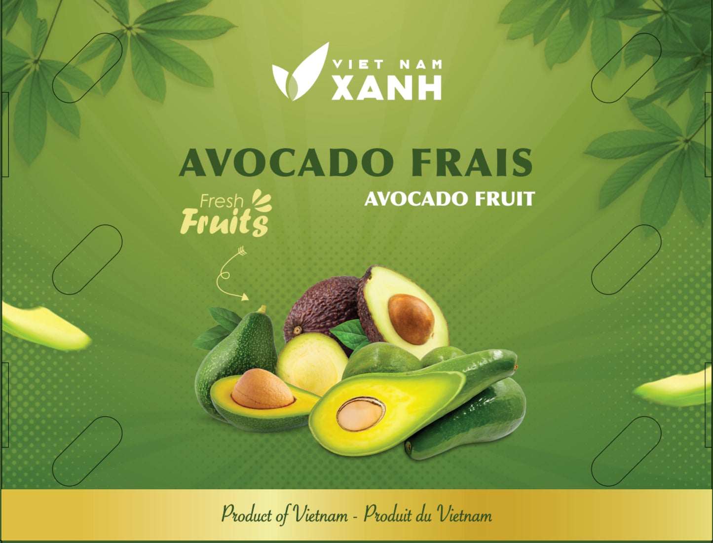 Avocat rond 1kg