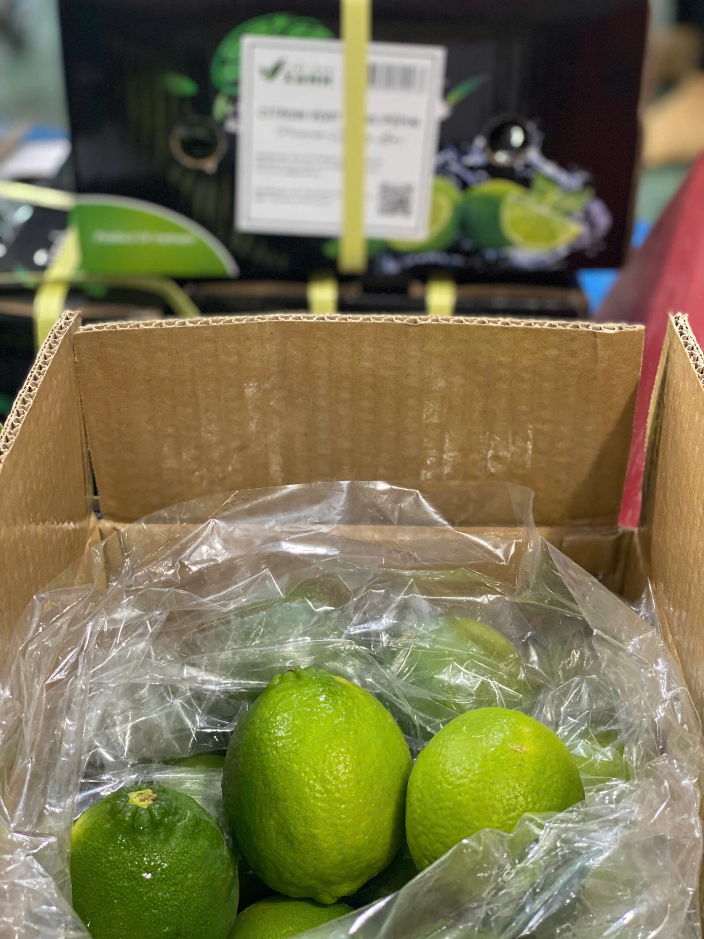 Citron vert sans pépins 1kg